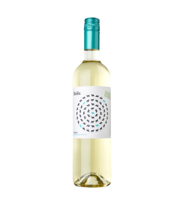 Get Mesta Verdejo 2017 Blanco seco from Galina Africa